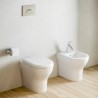 Vit Toalettsits För WC-Stol Badrum Sanitetsgods Zentrum VitrA Försäljning