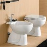 Vit Toalettsits För WC-Stol badrum sanitetsgods Geberit Colibrì Erbjudande