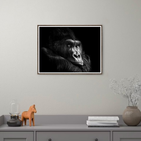 Gorilla fotografitryck bild djur ram 30x40cm Unika 0026