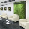 Stabiliserade växttavlor 4 paneler 60x40cm GreenBox Kit Lichene 