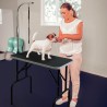 Hopfällbart hund- och djurskötselbord med Mastiff-bindning.
