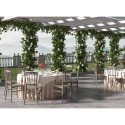 Stol med klassisk design restaurang utomhus bröllop ceremonier Divina Egenskaper