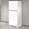 Inbyggnadsskåp Till Integrerat kylskåp 2 dörrar 2 fack 60x60x164,5h Halser 