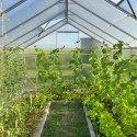 Växthus i polykarbonat för trädgård 220x570-640x205h Sanus XL Rabatter