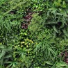 Realistisk konstgjord häck 100x100cm 3D-växter utomhus trädgård Ilex Rea