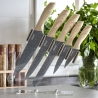 Set med 5 rostfria stålknivar med transparent ställ Pierre Gourmet Erbjudande