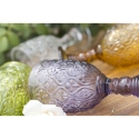 Set med 6 färgade glas i exotisk Marrakech-design Egenskaper