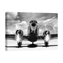 Vintage flygplan lyfter - Svartvit canvasmålning Kampanj