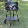 Pipra rund kolgrill med justerbart grillgaller Ø 48 cm och hjul Försäljning