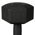 Hantel 6 kg med hexdesign och anti-rull Pumax Rea
