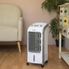 Bärbar 3-i-1 kylenhet med fläkt och luftfuktare Smart Fresh Försäljning