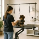 Trimbord 110 cm Höj och sänkbart För Hund Griffon Rea