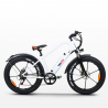 Elcykel E-bike Cruiser Custom 250W RKS XR6 Shimano Rabatter