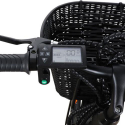 Elcykel Ebike för Kvinnor med Korg 250W RKS XT1 Shimano Katalog