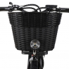 Elcykel Ebike för Kvinnor med Korg 250W RKS XT1 Shimano Bestånd