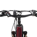 Elcykel Ebike Fatbike MTB 250W MT8 Shimano Bestånd