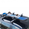 Universell Skid- och Snowboardhållare för Bilar Lasthållare ICEBERG Modell