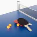Bordtennisbord 160x80 fällbart inom- och utomhus nätställning racket bollar Backspin Katalog