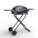 Gasolgrill BBQ bärbar rostfritt stål brännare Bernese Fr Kampanj