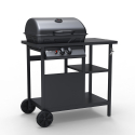 Gasolgrill BBQ rostfritt stål 2 brännare grillställ Bagnét Verd Fr Rea