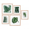 Uppsättning med 5 blad tavlor inramade collage-tryck Frame Jungle Försäljning