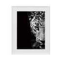 Tavla tryck fotografi svart vitt djur leopard 40x50cm Variety Kambuku Försäljning