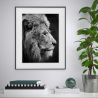 Tavla tryck fotografi svart vitt lejon djur 40x50cm Variety Aslan Kampanj