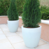 Hög rund design växtkruka Ø 60cm trädgård terrass balkong Orione Mått