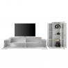 Väggmonterade TV-möbel TV-bänk vitrinskåp grå vit Corona Rea