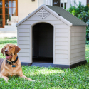 Kennel trädgårdshus för medelstora hundar i plast Ruby Försäljning