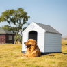 Kennelhus för stora hundar i plastträdgård Rock Försäljning