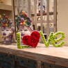 Skylt med växter bokstäver stabiliserat hjärta dekoration mossor lavar Love Rabatter