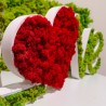 Skylt med växter bokstäver stabiliserat hjärta dekoration mossor lavar Love Katalog