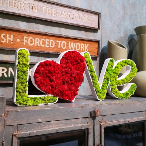 Skylt med växter bokstäver stabiliserat hjärta dekoration mossor lavar Love