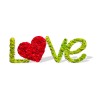 Skylt med växter bokstäver stabiliserat hjärta dekoration mossor lavar Love Erbjudande