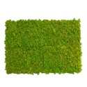 Stabiliserade växttavlor 4 paneler 60x40cm GreenBox Kit Lichene Katalog