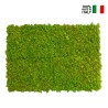 Stabiliserade växttavlor 4 paneler 60x40cm GreenBox Kit Lichene Erbjudande