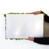 Stabiliserade växttavlor 4 paneler 60x40cm GreenBox Kit Lichene Rea