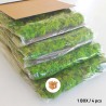 Stabiliserade växttavlor 4 paneler 60x40cm GreenBox Kit Lichene Mått