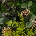 Stabiliserade väggtavlor med blommor och växter ForestMoss Persefone Pris