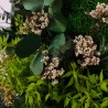 Stabiliserade väggtavlor med blommor och växter ForestMoss Persefone Inköp