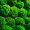 Stabiliserade växttavlor vertikal trädgård grön mossa BollMoss Kostnad