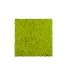 Stabiliserade växttavlor vertikal trädgård grön mossa Lichene Rea