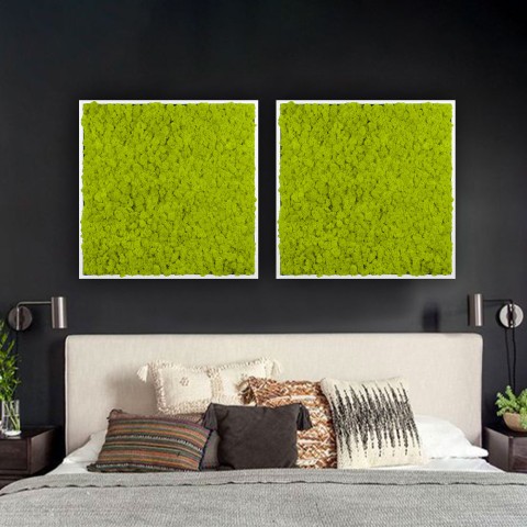 Stabiliserade växttavlor vertikal trädgård grön mossa Lichene