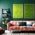 Stabiliserade växttavlor vertikal trädgård grön mossa Lichene 